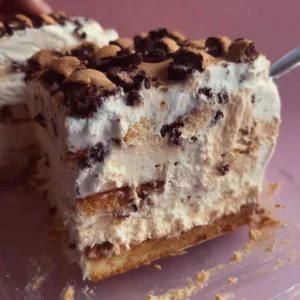 Homemade Ice Cream Cake 3 Delicious homemade ice cream cake with layers of cake and ice cream