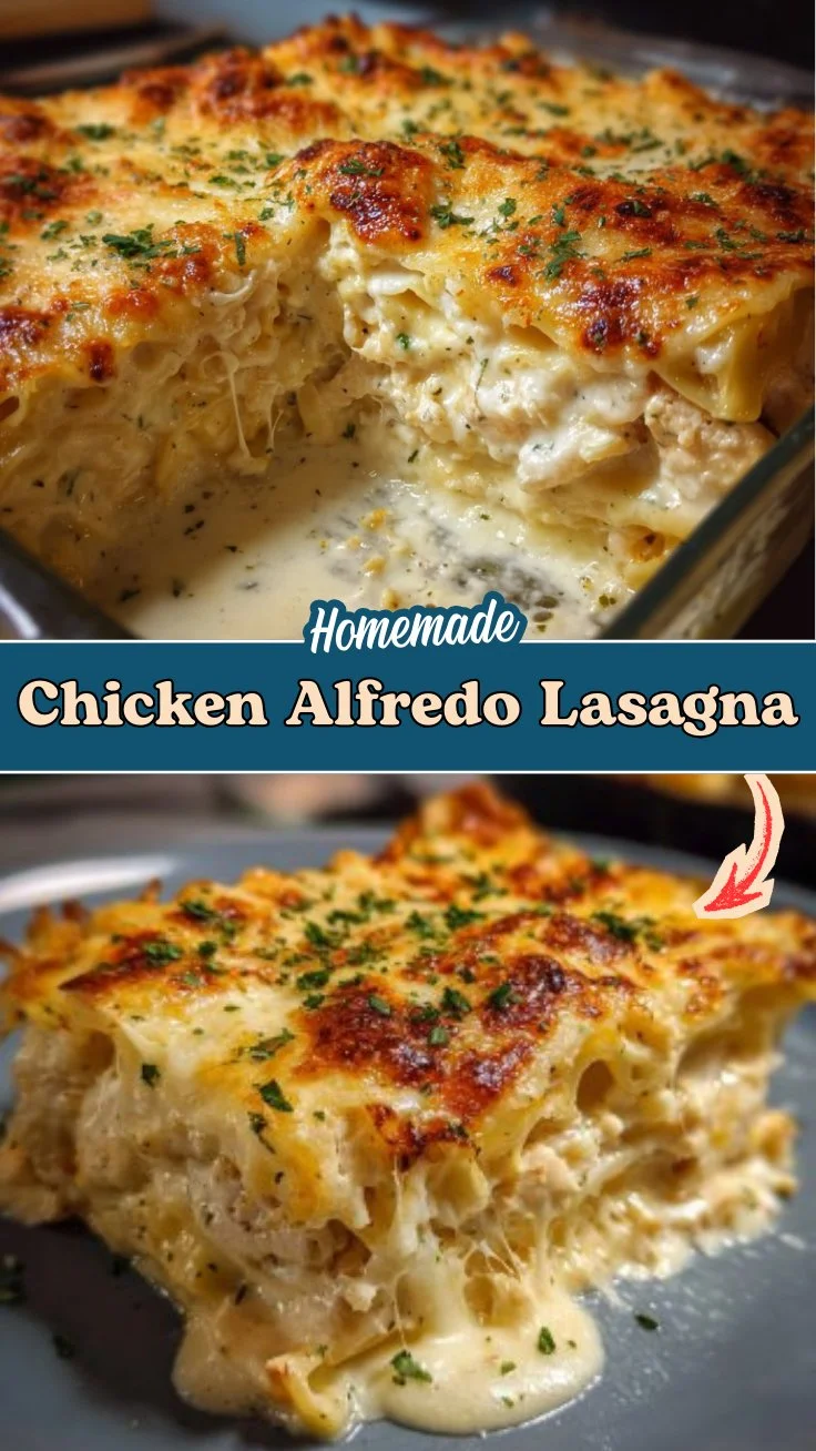 Chicken Alfredo Lasagna