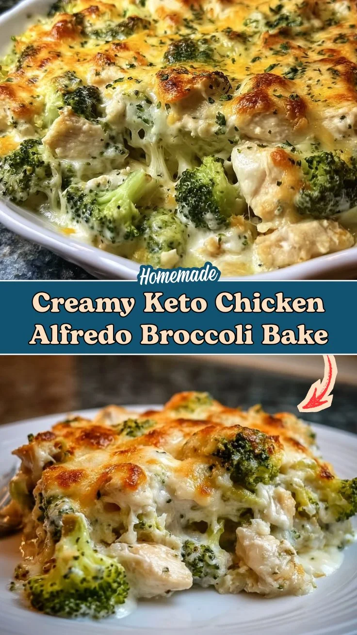 Creamy Keto Chicken Alfredo Broccoli Bake You'll Love 2 Creamy Keto Chicken Alfredo Broccoli Bake You'll Love