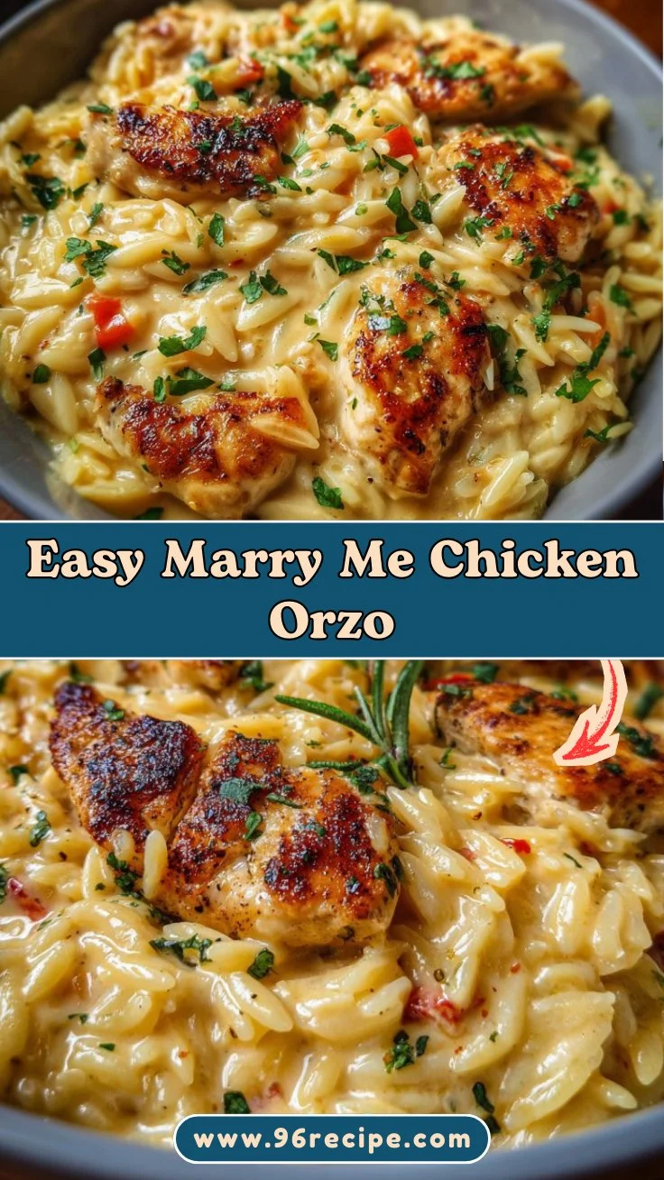Easy Marry Me Chicken Orzo That's Creamy and Delicious