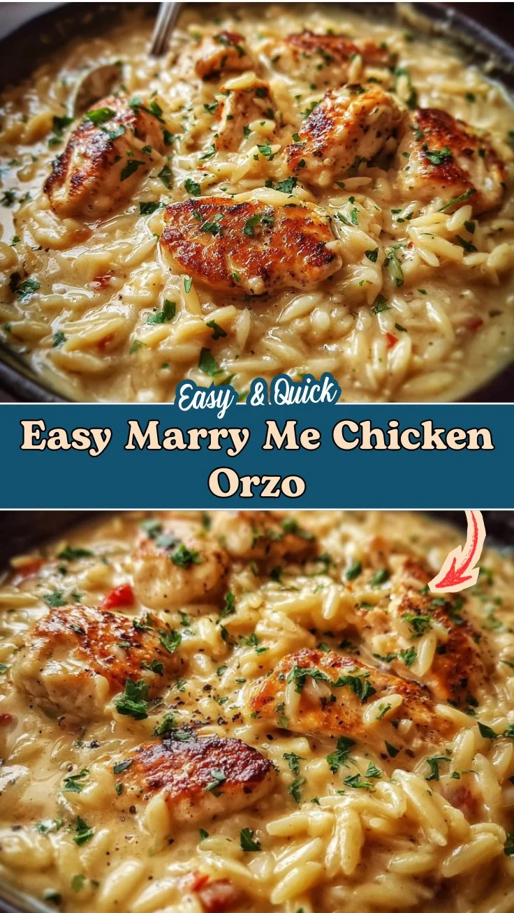 Easy Marry Me Chicken Orzo That's Creamy and Delicious 2 Easy Marry Me Chicken Orzo That's Creamy and Delicious